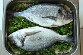 Gegrilde dorade olijfolie extra vergine, peterselie, bieslook, kervel, basilicum